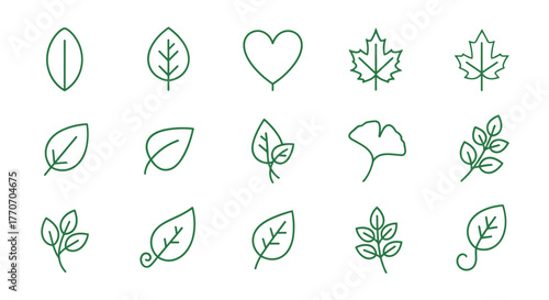 Collection of green leaf icons on a black background, featuring various leaf shapes including maple, ginkgo, and simple oval forms, perfect for natural, eco, vegan, and bio labels, presented as