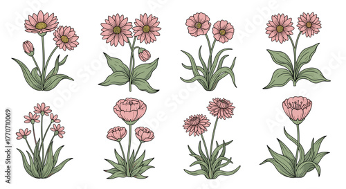 Wallpaper Mural A charming collection of hand-drawn pink flowers and green leaves illustrations, ideal for spring and summer botanical designs. Torontodigital.ca