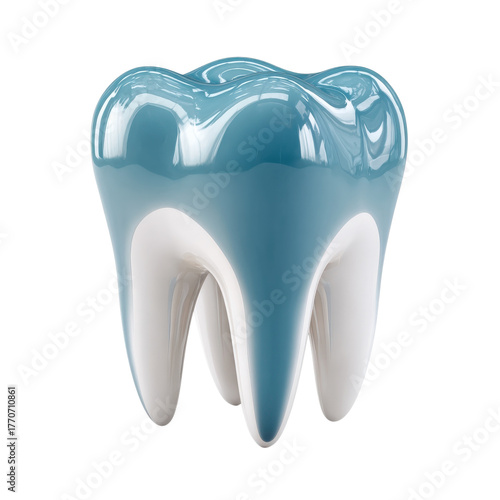 Tooth model on clear background display