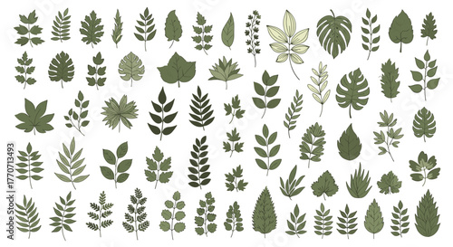 A diverse collection of hand-drawn green leaves, featuring various botanical shapes and natural elements, ideal for nature-themed designs.