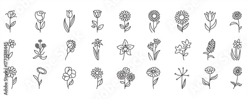 Elegant floral line art collection perfect for modern stationery and minimalist designs, adding a touch of organic beauty to any project or creative endeavor