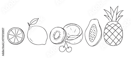 Minimalist continuous one-line art fruit composition vector illustration