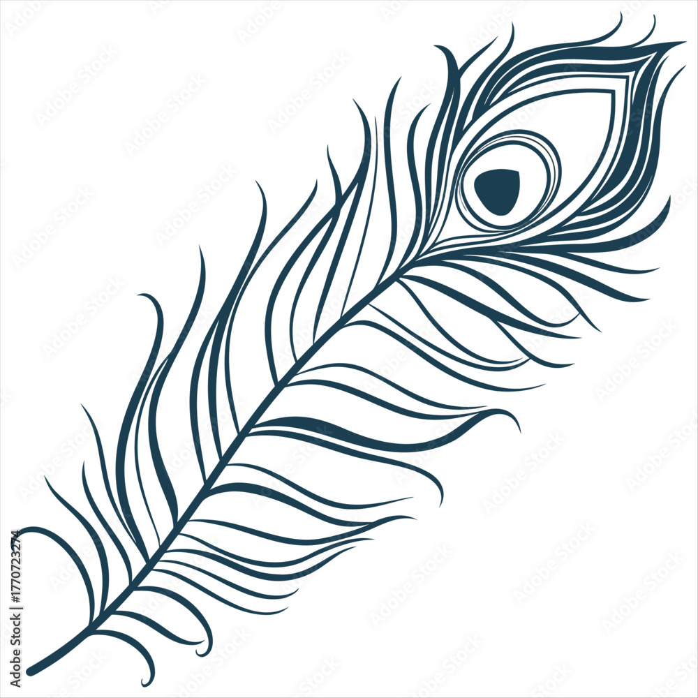Obraz premium Sketch peacock feather isolated on white, boho style vector illustration.