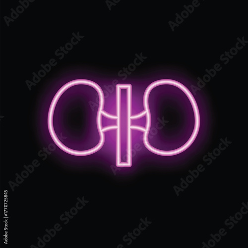 Neon pink kidneys glowing on black background representing human internal organs