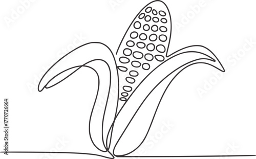 Minimalist line drawing of a corn cob with husks line art food