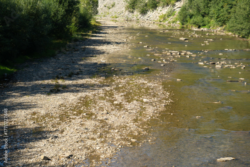 Tranquil riverbank scene with pebbles and stones, surrounded by lush greenery and trees, reflecting calm water under bright sunlight, showcasing natural beauty and serenity
