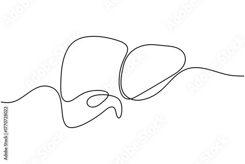 Human Liver anatomy continuous one line drawing on white background minimalist internal organ outline vector illustration