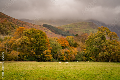 Autumn in Snowdonia National park North wales
