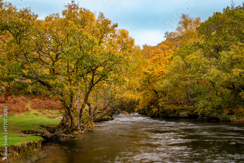 Autumn in Snowdonia National park North wales