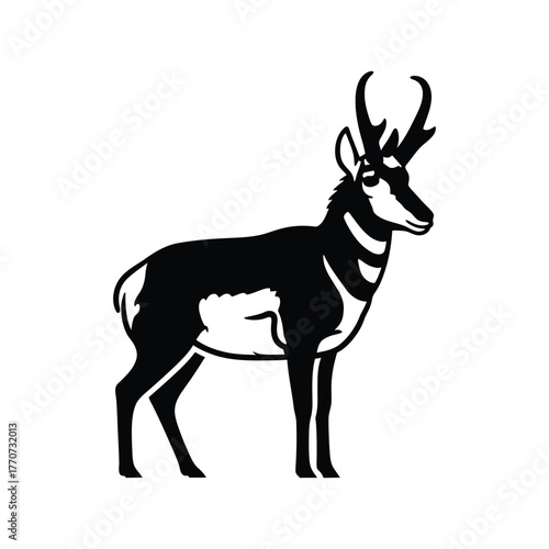 Pronghorn standing profile view vector illustration wild animal mammal wildlife nature grassland creature desert animal swift runner herbivore ruminant open field dweller north american native