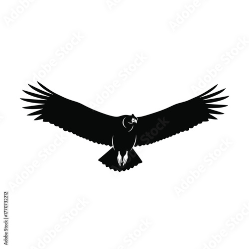 Eagle soaring with wings spread wide over minimal vector graphic bird of prey