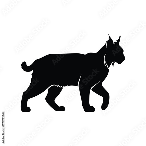 Lynx silhouette walking profile view mammal wild animal predator domestic cat family feline