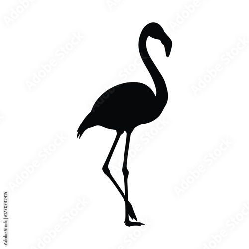 Flamingo silhouette bird elegant long neck standing waterfowl exotic tropical wild animal