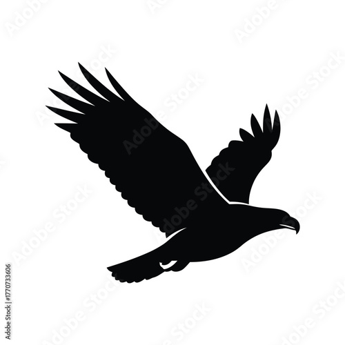 Eagle flying silhouette bird of prey raptor wildlife nature soaring freedom wing majestic powerful predator