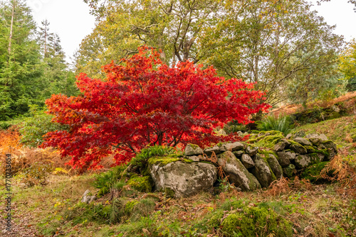 Autumn in Snowdonia National park North wales