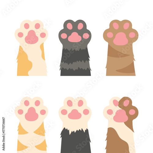 A set of cute cat paw prints on a white background. Pet tracks. Design elements.