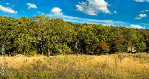 A field of gold lies quiet beneath a hard blue sky. The forest presses close, dark and watching. In the distance, a tractor waits, like something left behind in a story that never ended in Wilsden, UK