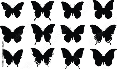 Butterfly silhouette vector, insect wing shapes, black butterfly icons, nature clipart set, entomology illustration, flying insect design, taxonomy reference