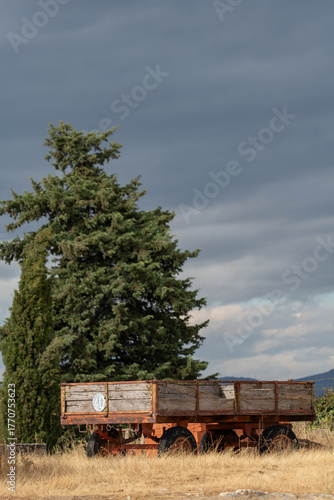 Rustic Wooden Cart Under Dramatic Overcast Sky