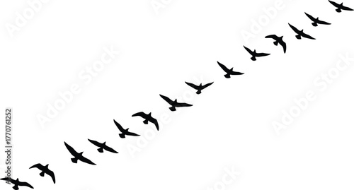 Flying bird silhouette vector, flock formation clipart, migratory birds design, nature motion icon set, black winged animal illustration