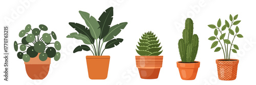 Set of house plants in a pot. Flat style. Green plant in a flower pot for cozy decoration of home, garden, veranda, balcony, terrace, office, living room, patio. Vector illustration.