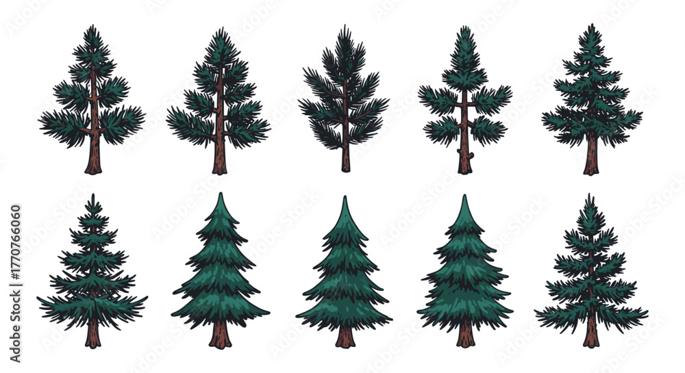 Obraz premium Variety of evergreen trees with detailed needle and branch designs