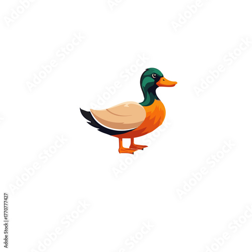 A vibrant cartoon illustration of a male mallard duck with a green head, brown body, and orange beak and feet, standing on a plain white background.