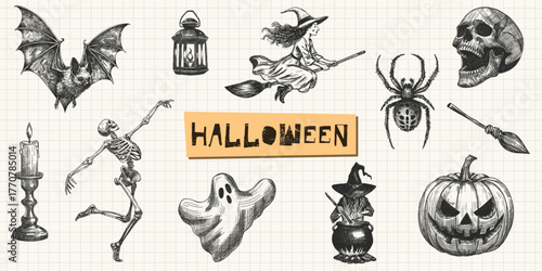 halloween set spooky elements collection flying witch bat skull skeleton ghost spider jack lantern pumpkin candle broomstick cauldron isolated hand drawn sketch grid background