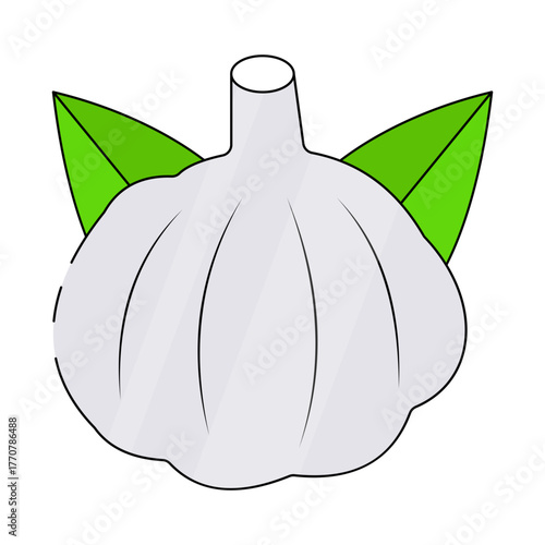 Modern design icon of garlic, food ingredient