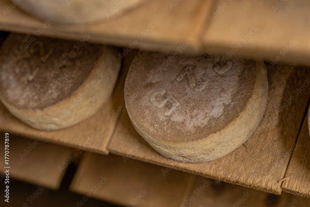 Φωτογραφία Gros plan sur des fromages en cours d’affinage dans une cave, révélant les textures naturelles, les nuances de couleur et le savoir-faire artisanal de la production fermière