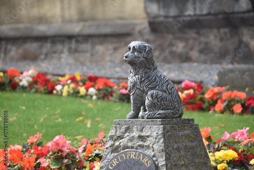 Obraz na plátně Statue en hommage à Greyfriars Bobby, un chien de race Skye terrier réputé pour sa fidélité, au milieu d'un jardin de fleurs