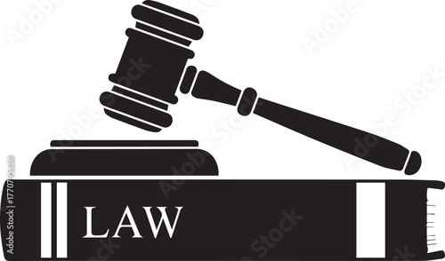 Symbol of justice and human rights with gavel and law book celebration