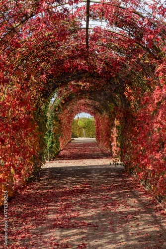 In the beautiful autumn park palace garden.