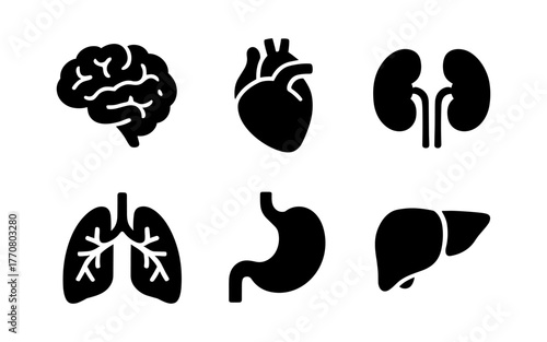 Set of black silhouette human organ icons for medical and educational use