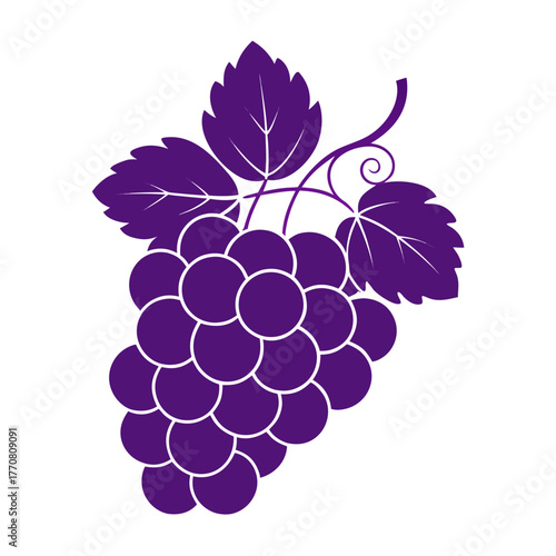 A stylized purple grape cluster with leaves and vine isolated on white background isolated on transparent background silhouette
