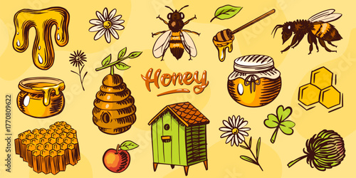 Honey set. Jars and a bee . Hand drawn spoon, honeycomb. Clover and chamomile. Engraved elements for your design.