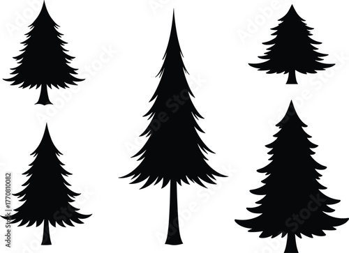 Silhouette of pine trees and fir trees, evergreen forest design, black vector illustration of natural woodland plants for decoration