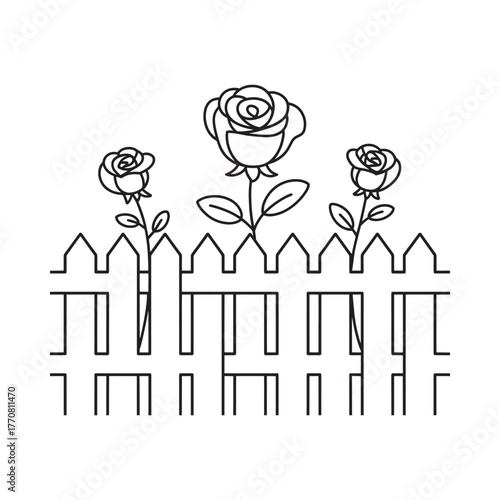 Simple black and white line drawing of roses growing over a picket fence