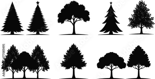 Silhouette of different tree types, pine and deciduous trees collection, forest landscape illustration, black tree design elements, nature art set