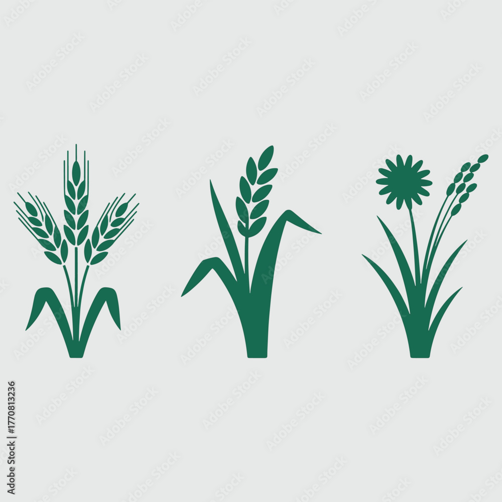 Fototapeta premium Three stylized green plant icons wheat rice and flower on light gray background agriculture
