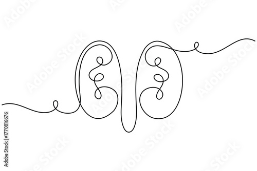 Human kidney anatomy continuous one line drawing on white background minimalist internal organ outline vector illustration