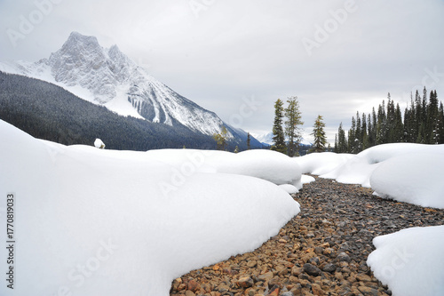 winter landscape in the mountains