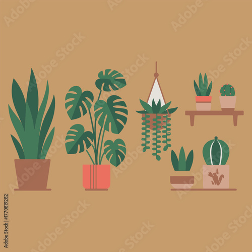 Flat illustration of various potted green houseplants on a brown background potted plant monstera