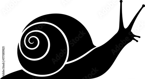 Silhouette of a snail with a swirling shell