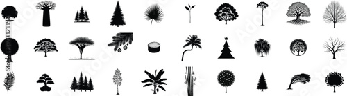 Collection of diverse stylized black silhouette trees and plants for architectural drawings and design isolated on transparent background