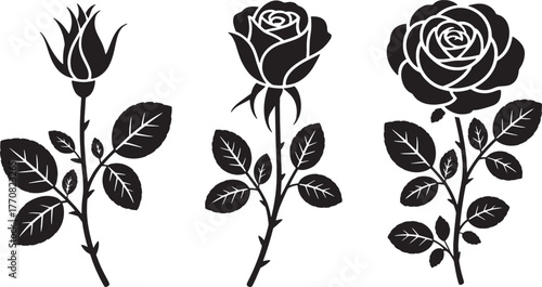 Three black silhouette rose stems with leaves and flowers on white background leaf