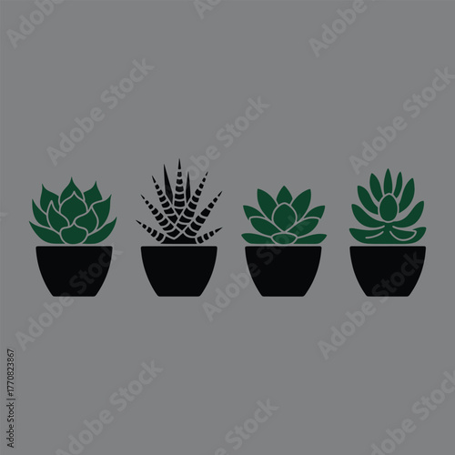 Four potted succulent plants in a row dark green and black graphic illustration potted plant