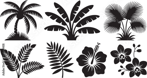 Black silhouette tropical plants and flowers collection palm banana orchid hibiscus leaves black and white