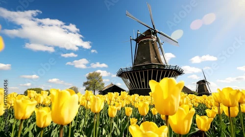 Bright Yellow Tulips in Front of a Classic Windmill Under Blue Sky