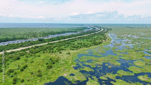 Aerial landscape of Bayou Swamp wetlands summer nature scene sunny day in rural Louisiana LA